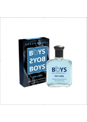 Today Parfum Boys Pheromone Top Label, парфюмированный спрей, 100 мл