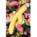 Вибратор с клиторальным стимулятором Flovetta by Toyfa Aster, силикон, желтый, 12 см